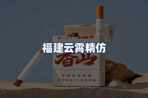 福建云霄精仿